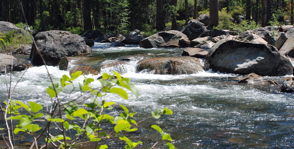 Photo of Fordyce Creek