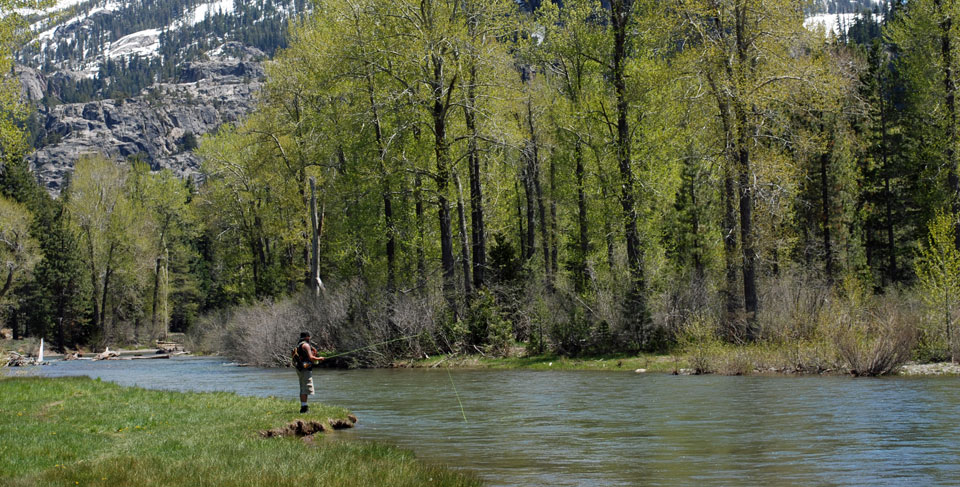 Photo of fisherman on the Stanislaus River, Tuolumne County, CA