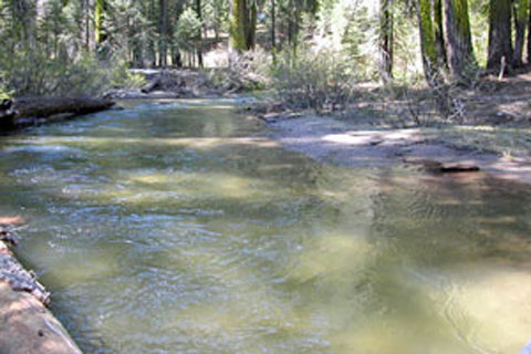 Clark Fork, Tuolumne County, CA