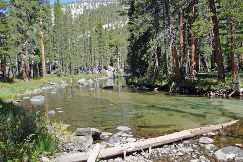 Evolition Creek, Kings Canyon National Park, California