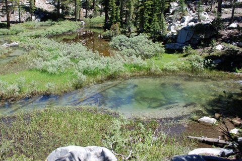 Mammoth Creek, Mammoth Lakes, Mono County, California