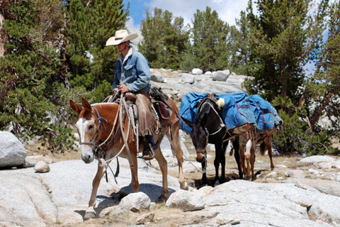 Bishop Pack Outfitters, Sabrina Basin, Inyo County, California