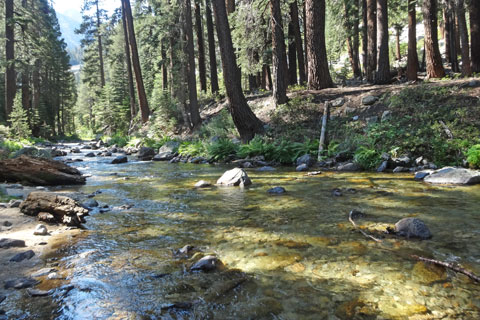 Bubbs Creek, Kings Canyon National Park, California