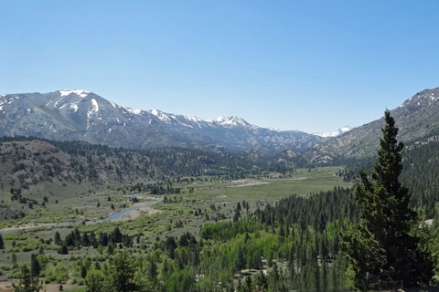 Leavitt Meadow, Mono County, California