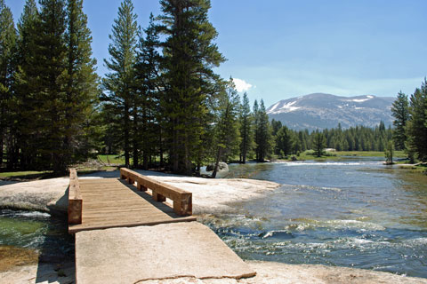 Lyell Fork, Yosemite National Park, California