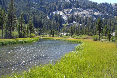 Lyell Fork, Yosemite National Park, California