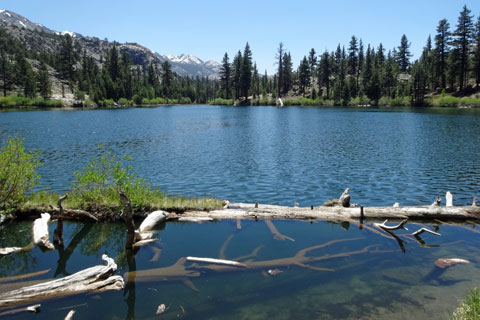 Roosevelt Lake, Hoover Wilderness, California