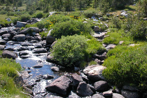 Rose Lake Creek, John Muir Wilderness, Fresno County, California