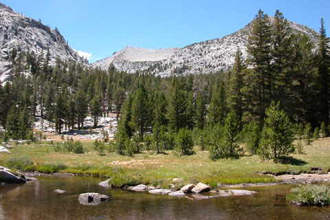 Rosemarie Meadow, John Muir Wilderness, Fresno County, California