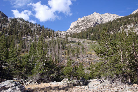 Route up hillside to Lake 10315, California