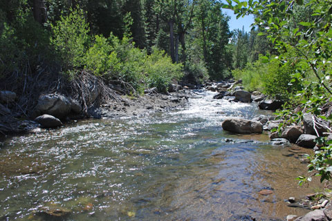 Silver Creek, Alpine County, California