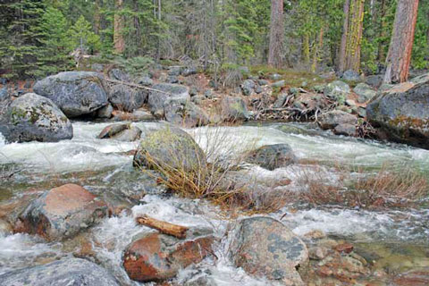 South Stanislaus River, Tuolumne County, California