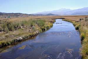 Photo of East Walker River