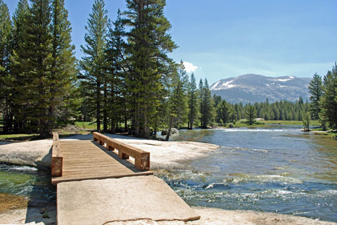 Lyell Fork, Yosemite National Park, California