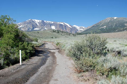 Road to Parker  Lake, MonoCounty, California