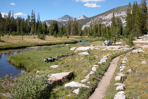 Rosemarie Meadow, John Muir Wilderness, California