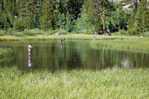 Weir Pond, Inyo County, CA